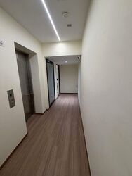 NOVENA TERRACE (D11), Terrace #506674821